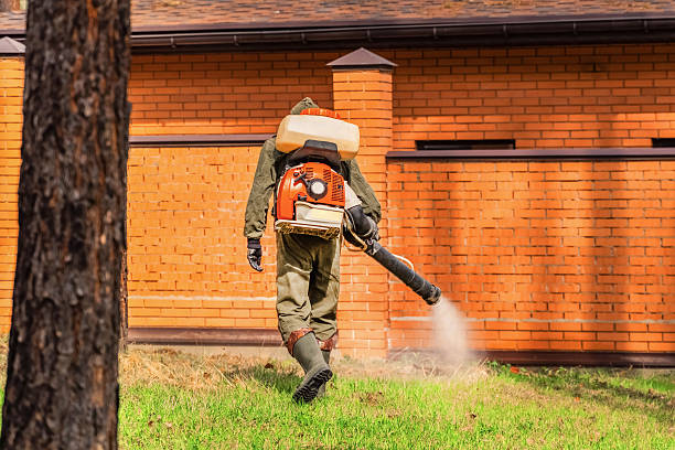 Trusted Bed Bug Control service in Oroville East, CA - Nex Pest Control